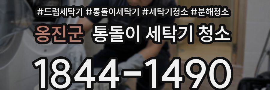 옹진군 통돌이 세탁기 청소