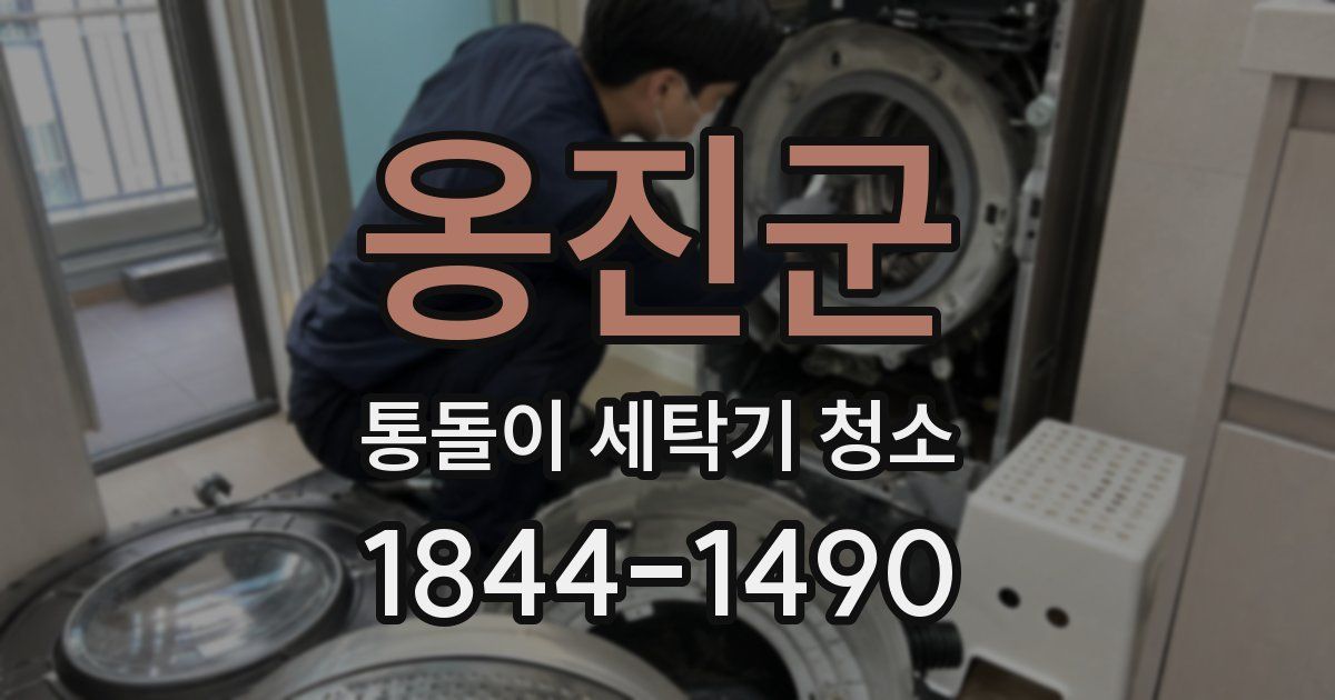 옹진군 통돌이 세탁기 청소