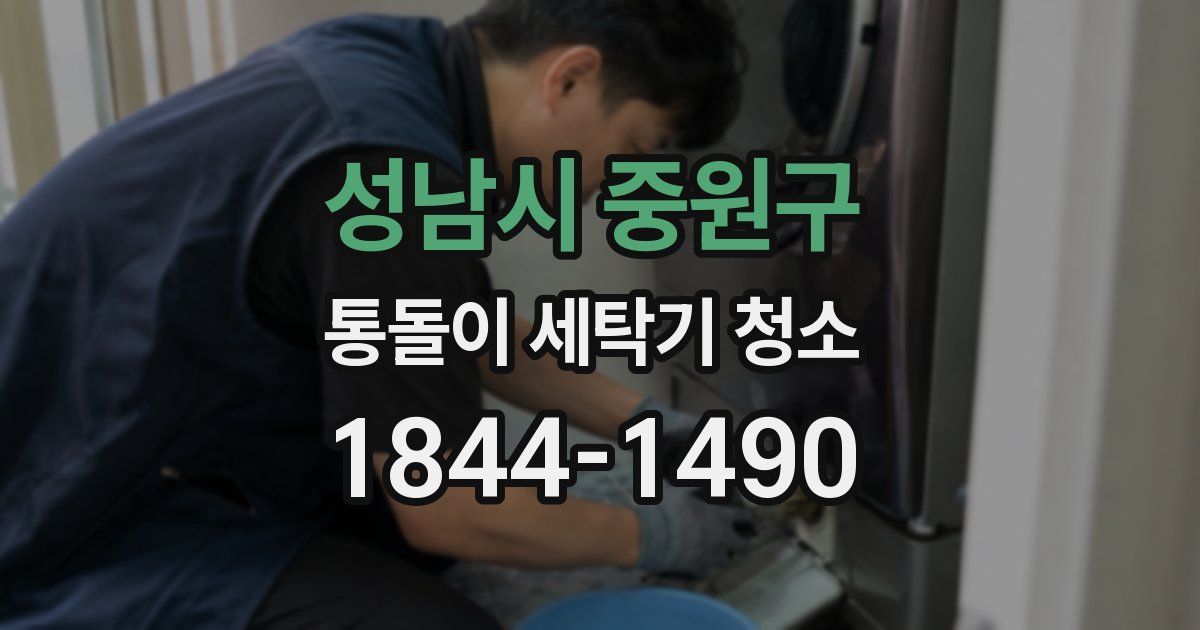 성남시 중원구 통돌이 세탁기 청소
