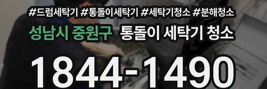성남시 중원구 통돌이 세탁기 청소