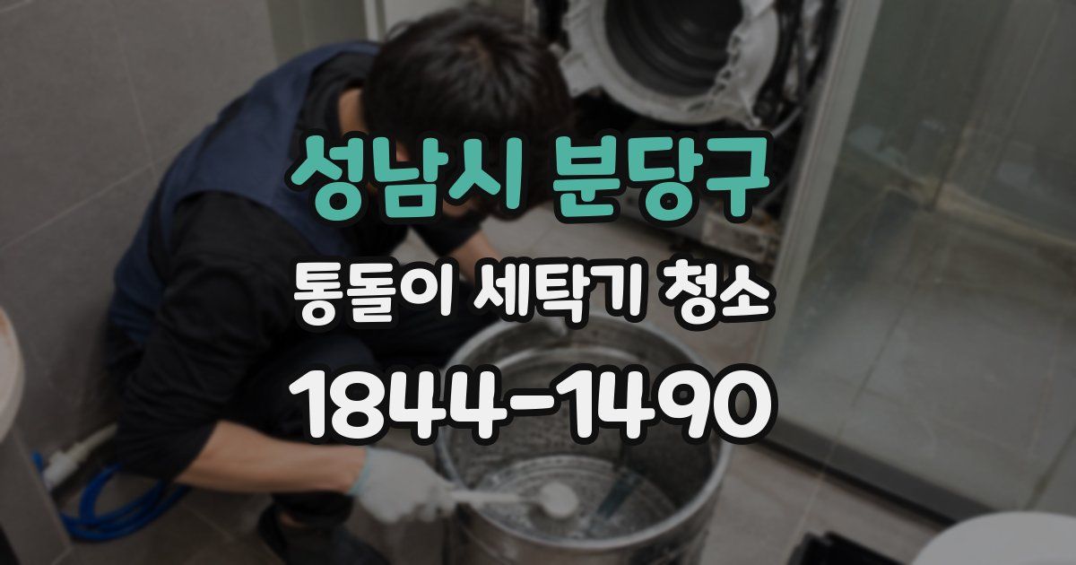 성남시 분당구 통돌이 세탁기 청소