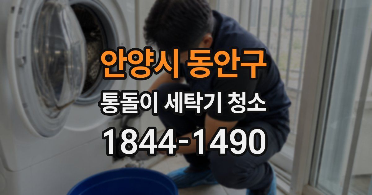 안양시 동안구 통돌이 세탁기 청소