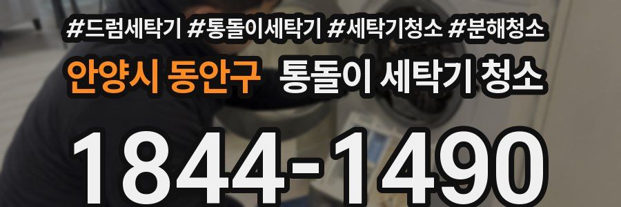안양시 동안구 통돌이 세탁기 청소