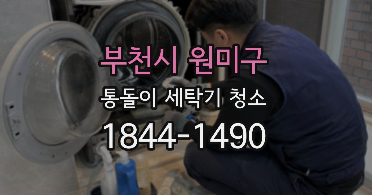 부천시 원미구 통돌이 세탁기 청소