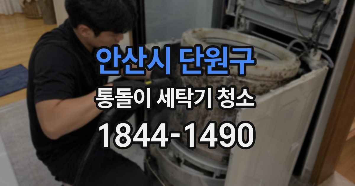 안산시 단원구 통돌이 세탁기 청소