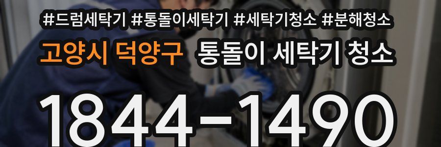고양시 덕양구 통돌이 세탁기 청소