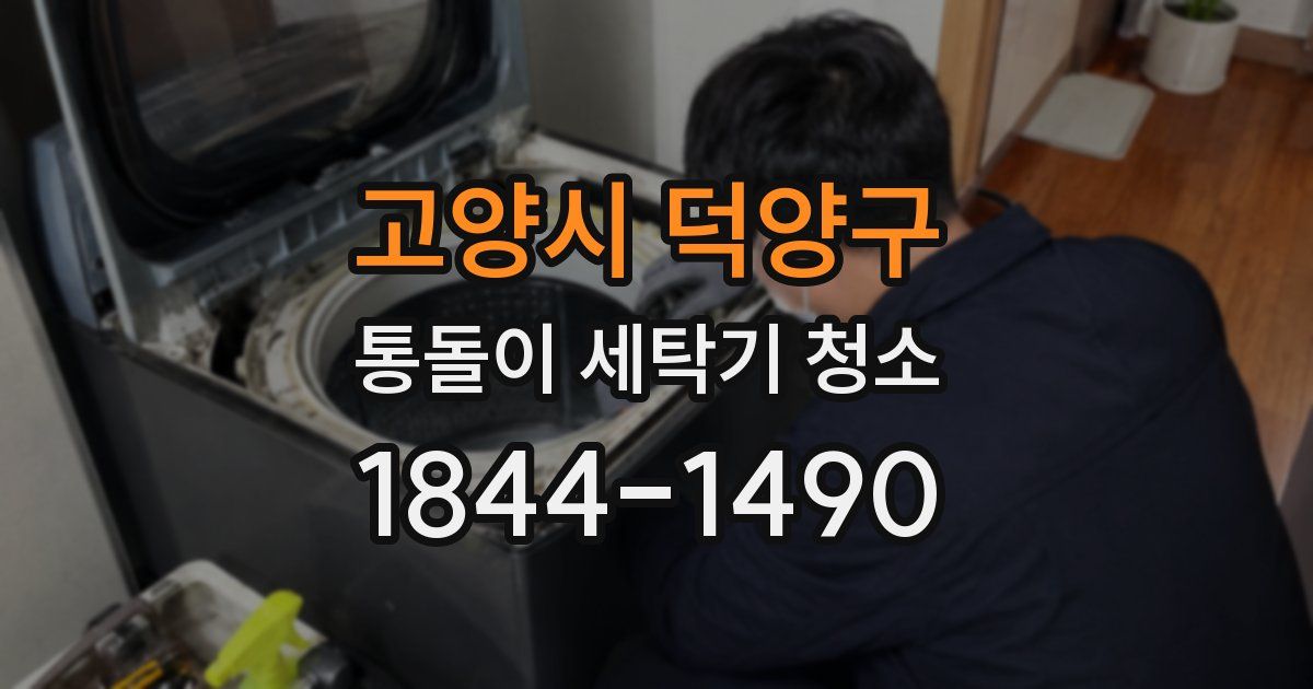 고양시 덕양구 통돌이 세탁기 청소