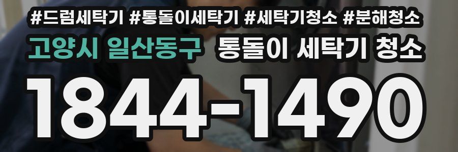 고양시 일산동구 통돌이 세탁기 청소