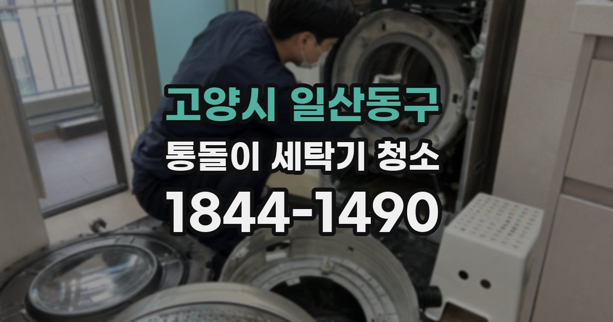고양시 일산동구 통돌이 세탁기 청소