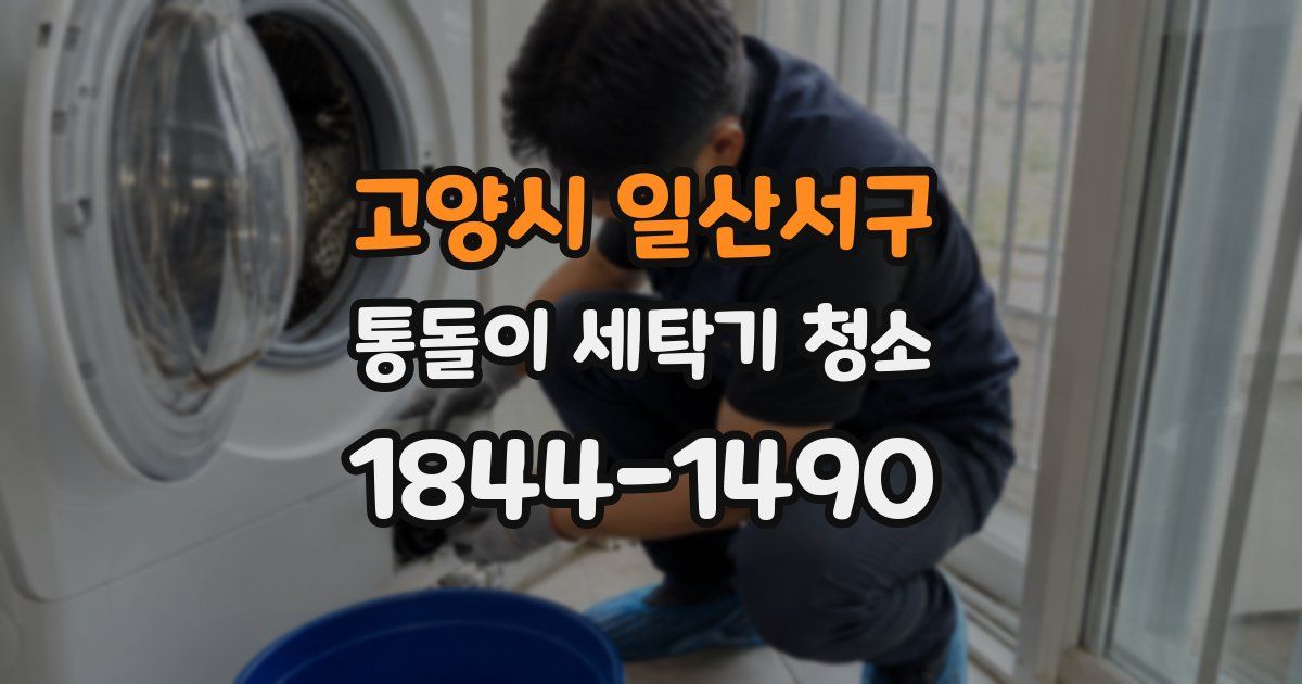 고양시 일산서구 통돌이 세탁기 청소