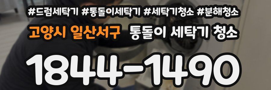 고양시 일산서구 통돌이 세탁기 청소