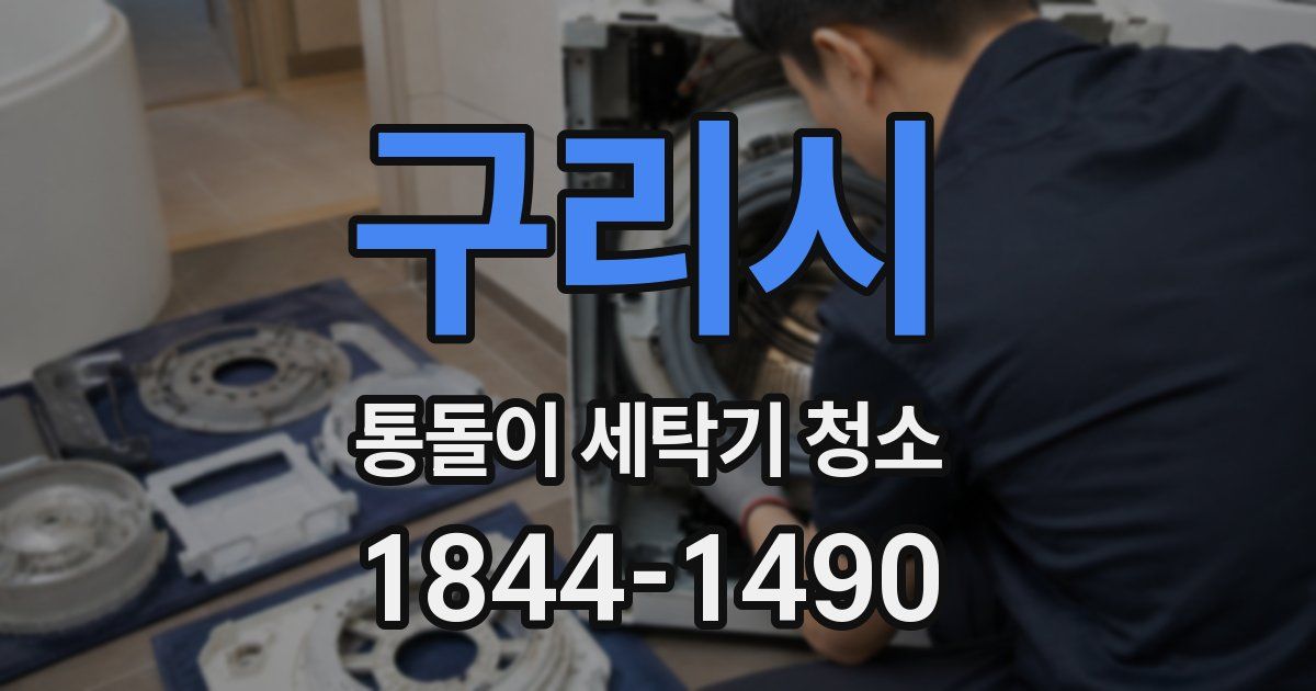 구리시 통돌이 세탁기 청소