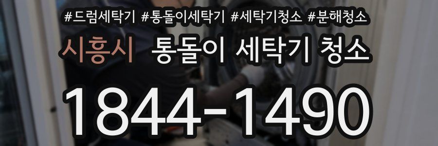 시흥시 통돌이 세탁기 청소