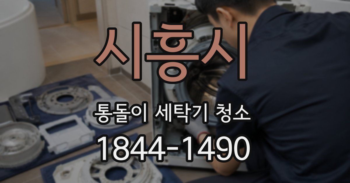 시흥시 통돌이 세탁기 청소
