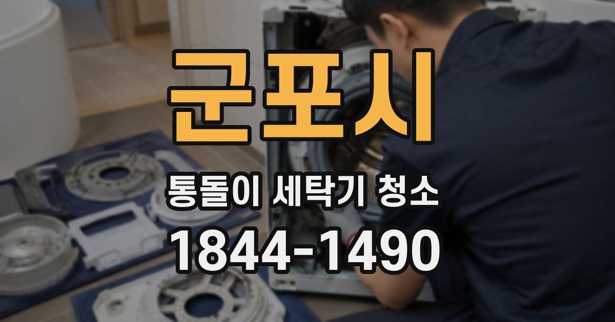 군포시 통돌이 세탁기 청소