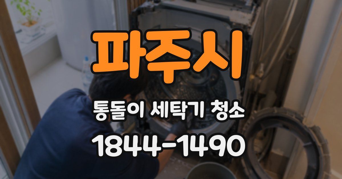파주시 통돌이 세탁기 청소