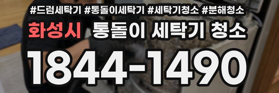 화성시 통돌이 세탁기 청소