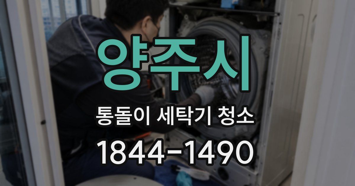 양주시 통돌이 세탁기 청소