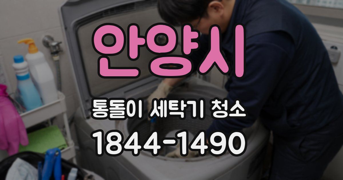 안양시 통돌이 세탁기 청소