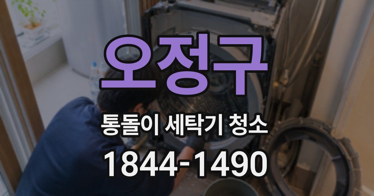 오정구 통돌이 세탁기 청소
