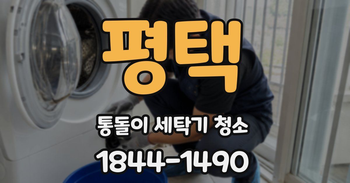 평택 통돌이 세탁기 청소