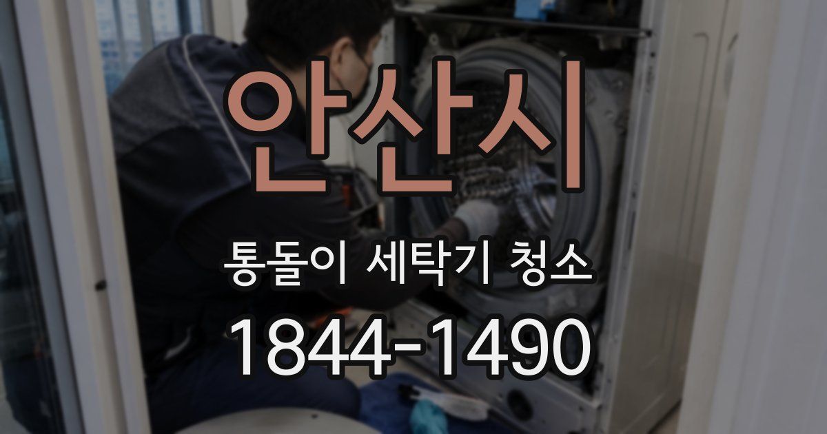 안산시 통돌이 세탁기 청소
