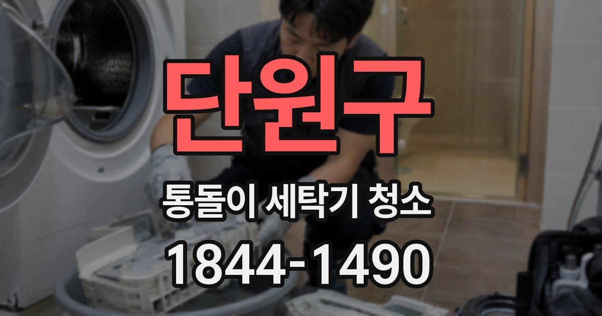 단원구 통돌이 세탁기 청소