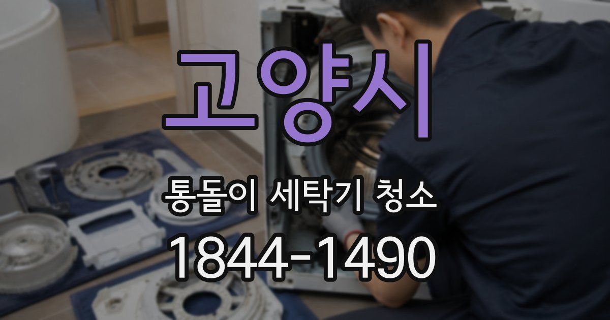 고양시 통돌이 세탁기 청소