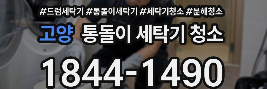 고양 통돌이 세탁기 청소
