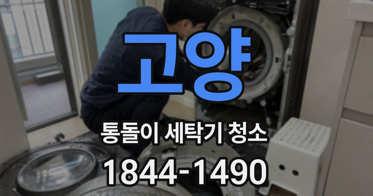 고양 통돌이 세탁기 청소
