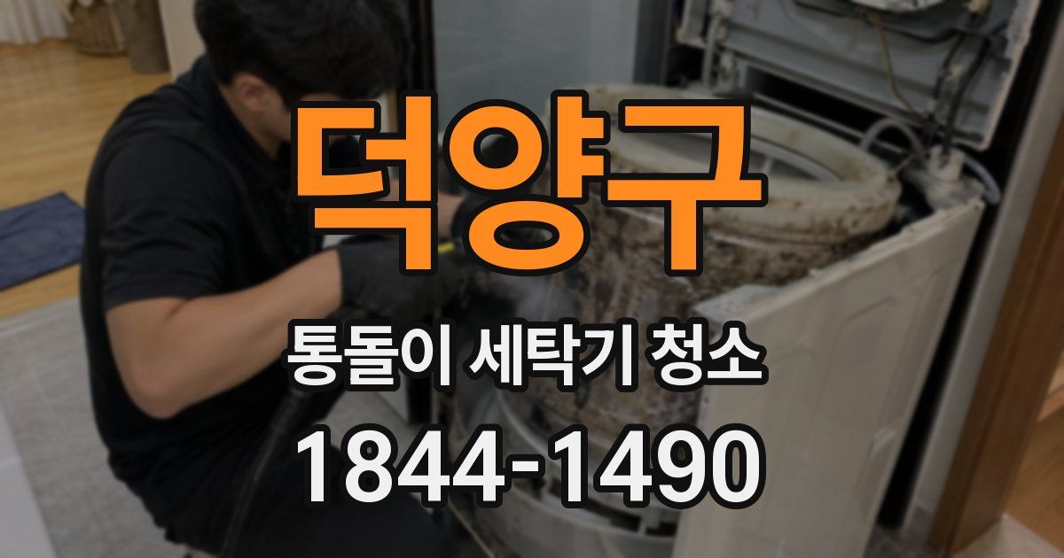 덕양구 통돌이 세탁기 청소