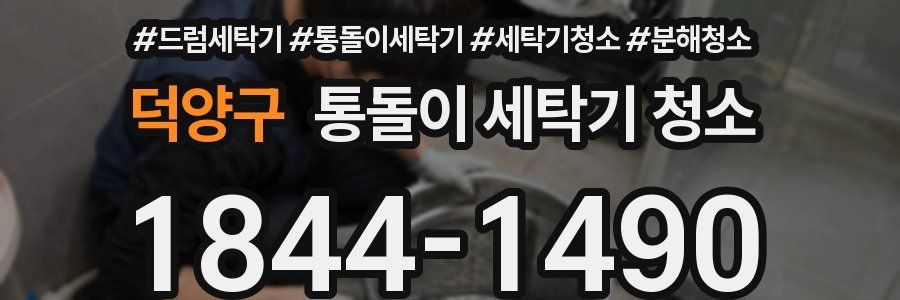 덕양구 통돌이 세탁기 청소