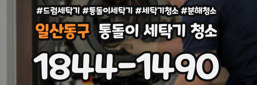 일산동구 통돌이 세탁기 청소