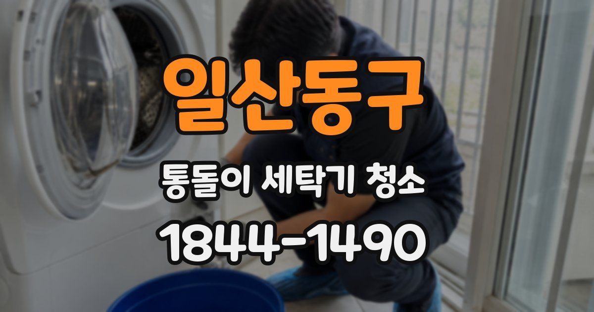 일산동구 통돌이 세탁기 청소