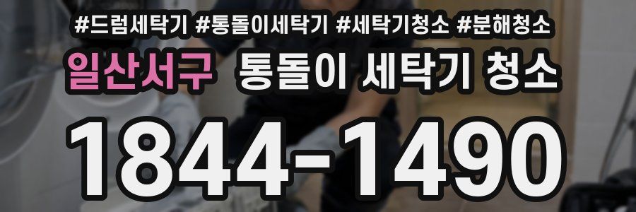 일산서구 통돌이 세탁기 청소