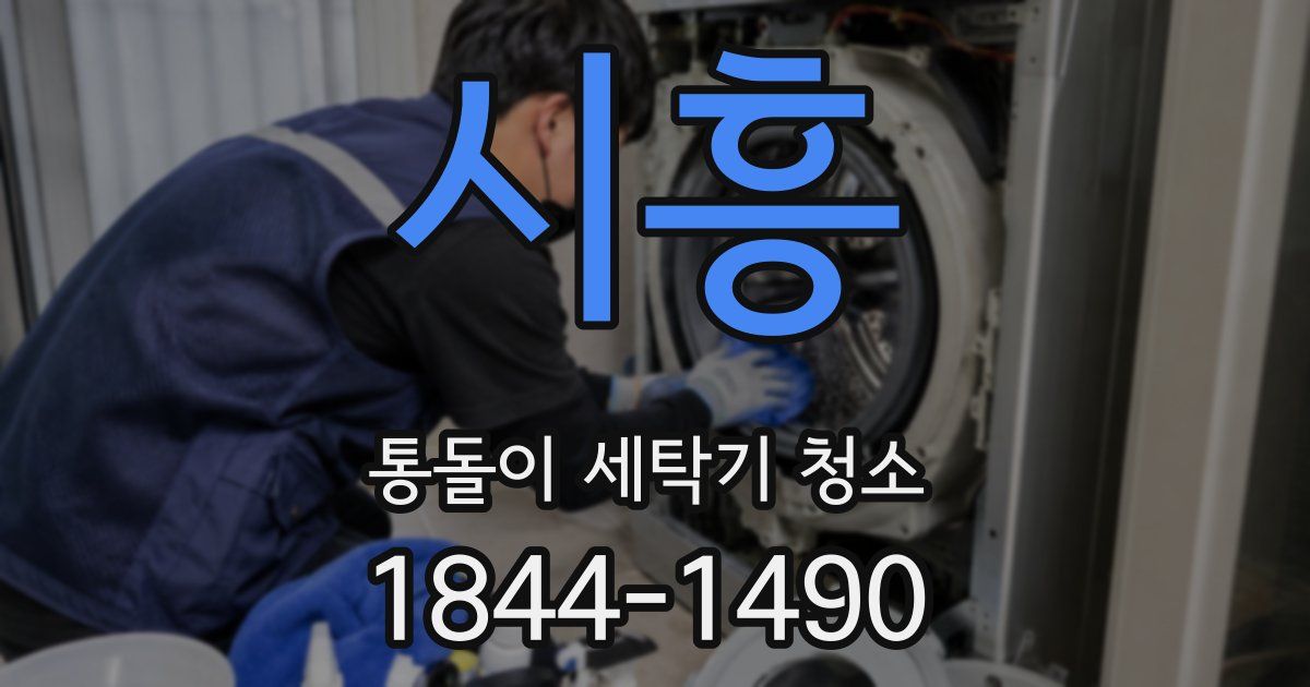 시흥 통돌이 세탁기 청소