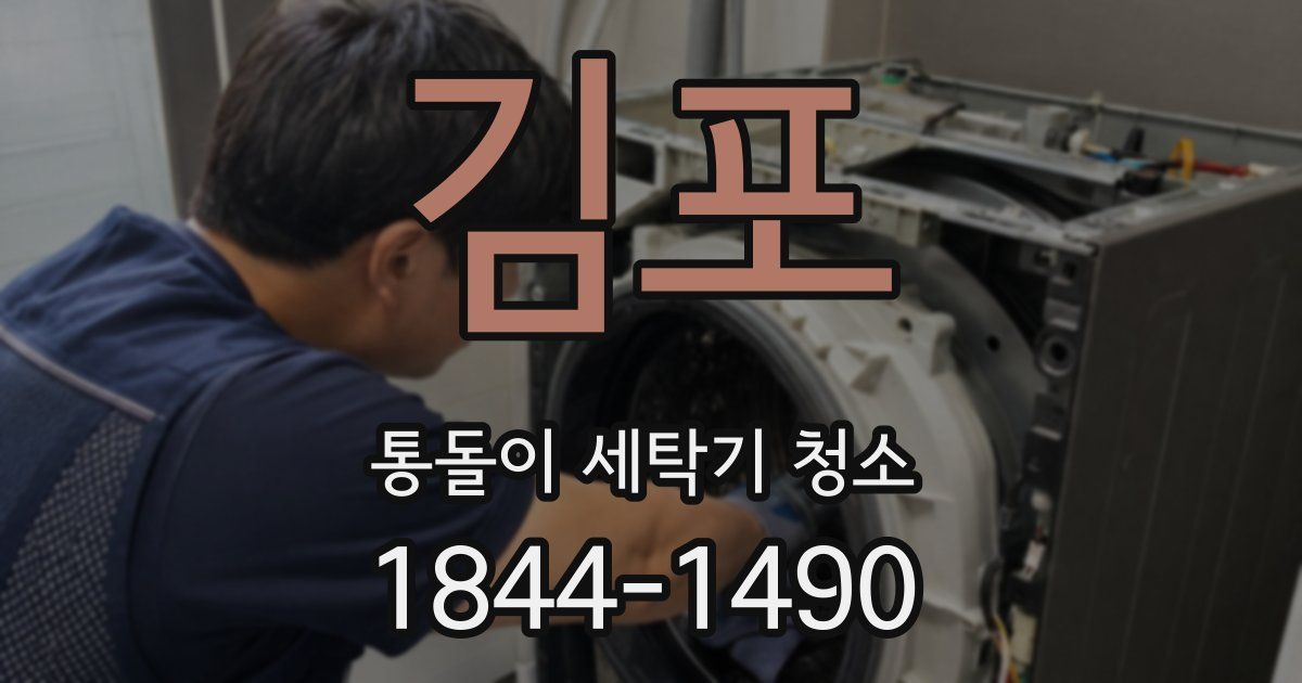 김포 통돌이 세탁기 청소