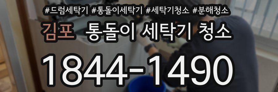 김포 통돌이 세탁기 청소