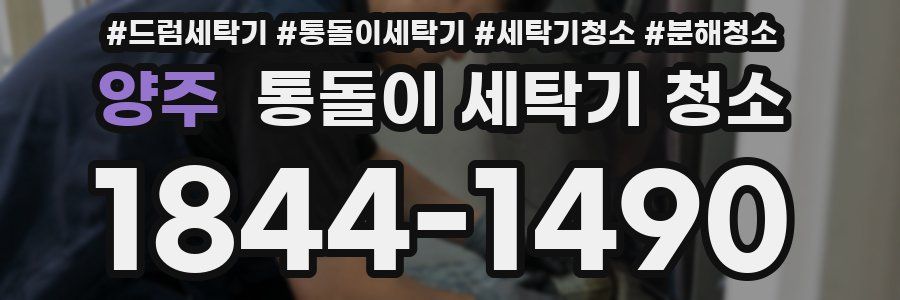 양주 통돌이 세탁기 청소