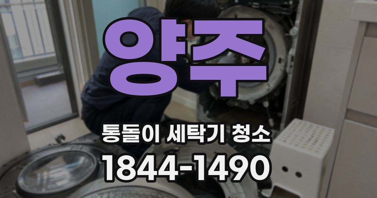 양주 통돌이 세탁기 청소