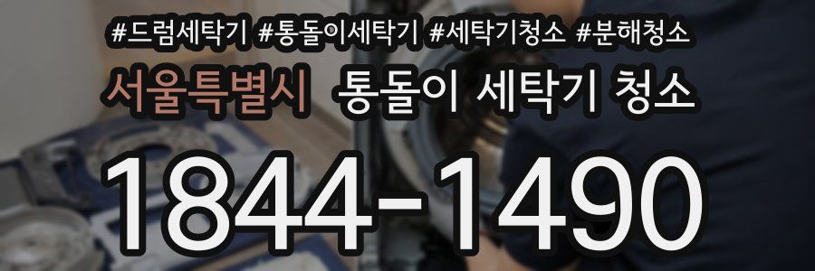 서울특별시 통돌이 세탁기 청소