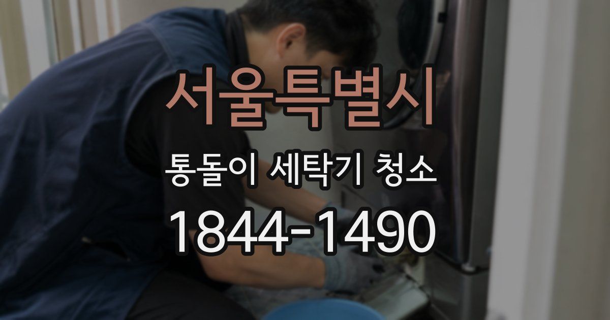 서울특별시 통돌이 세탁기 청소