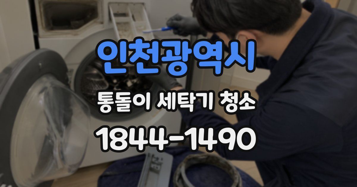 인천광역시 통돌이 세탁기 청소
