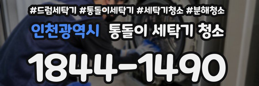 인천광역시 통돌이 세탁기 청소