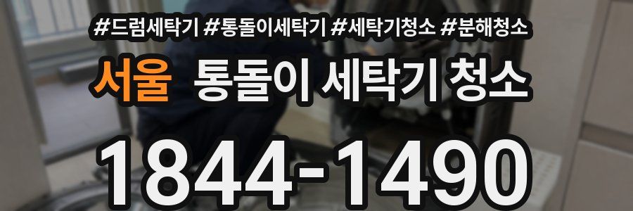 서울 통돌이 세탁기 청소