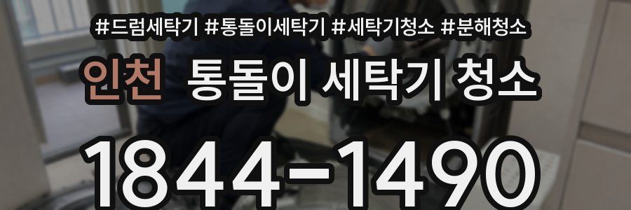 인천 통돌이 세탁기 청소