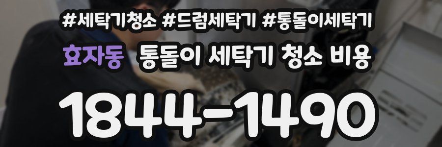 효자동 통돌이 세탁기 청소 비용