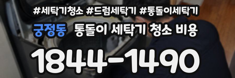 궁정동 통돌이 세탁기 청소 비용