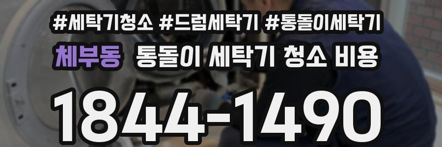 체부동 통돌이 세탁기 청소 비용