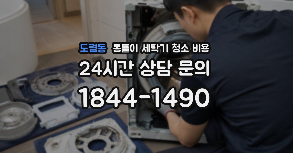 도렴동 통돌이 세탁기 청소 비용